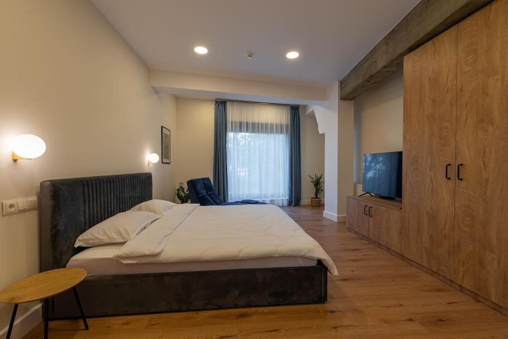 Fabrica Apartments 11 Κλουζ-Ναπόκα Εξωτερικό φωτογραφία