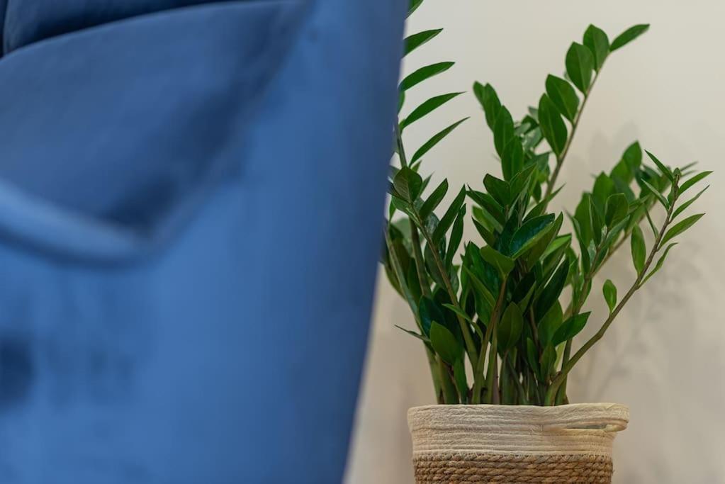 Fabrica Apartments 11 Κλουζ-Ναπόκα Εξωτερικό φωτογραφία